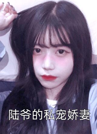 不照离人照落花小说沈婉君萧元承完结版